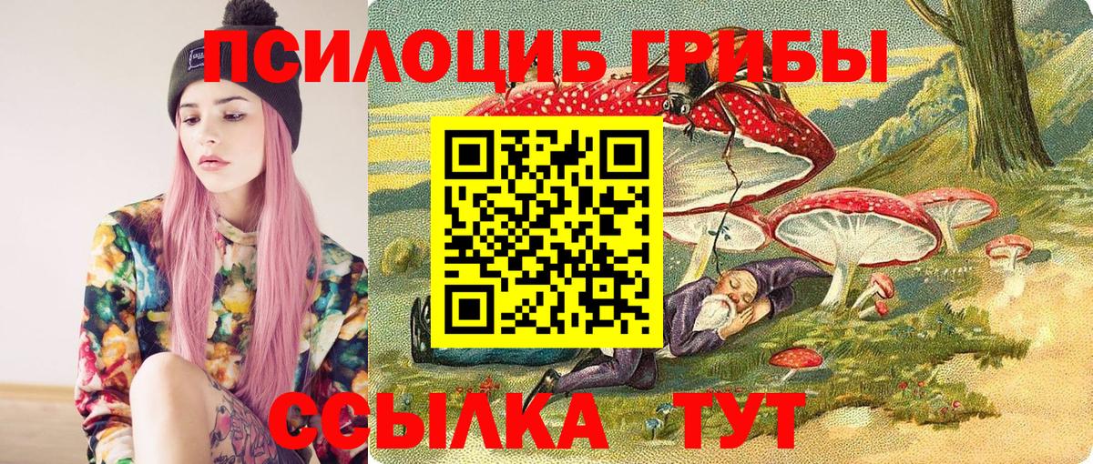 Галлюциногенные грибы Psilocybine cubensis  Галлюциногенные грибы мицелий  Лыткарино  Вход с VPN 